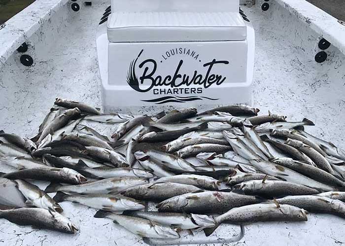 Deep Sea Fishing in Louisiana, LA - FishingBooker